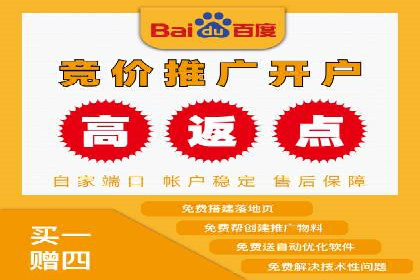 百度SEM广告投放的五大成功案例分享